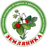 Логотип питомника «Земляника»
